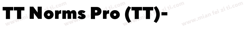 TT Norms Pro (TT)字体转换
